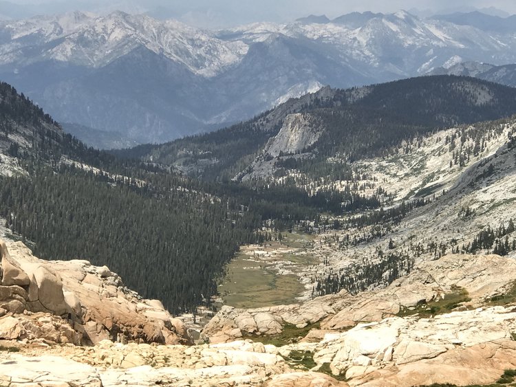 Ferguson meadow from Tablelands (looking North)