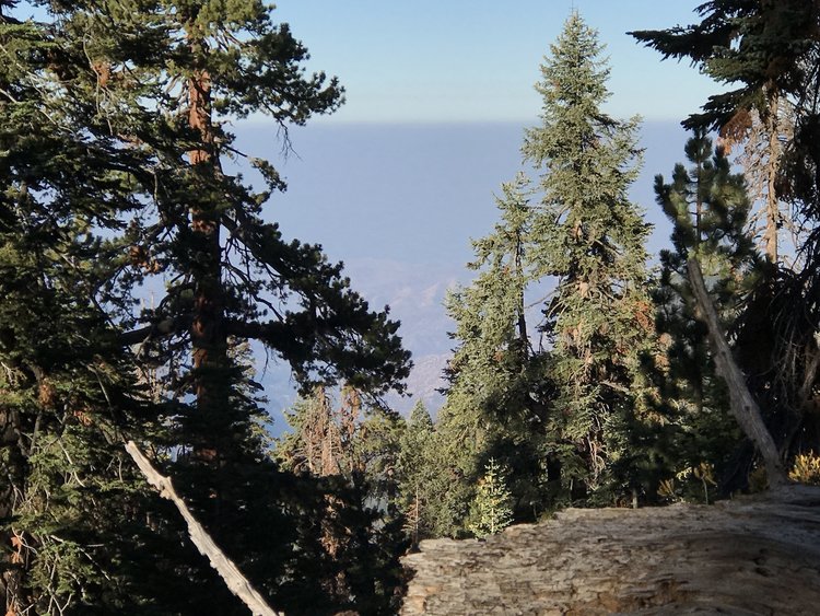 San Joaquin air from the Alta trail