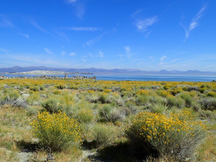Mono Lake South Tufa Area - Well worth a quick detour from 395