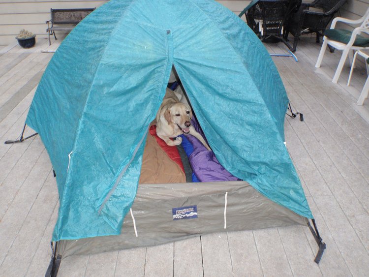 Welcome to the tent