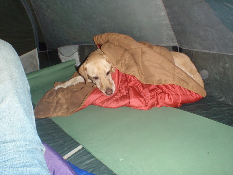 Figured it out in his kelty quilt