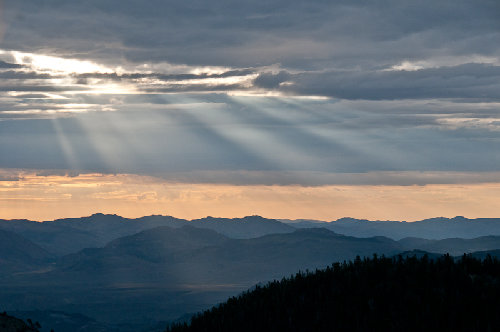 Looking east from near Sonora Pass