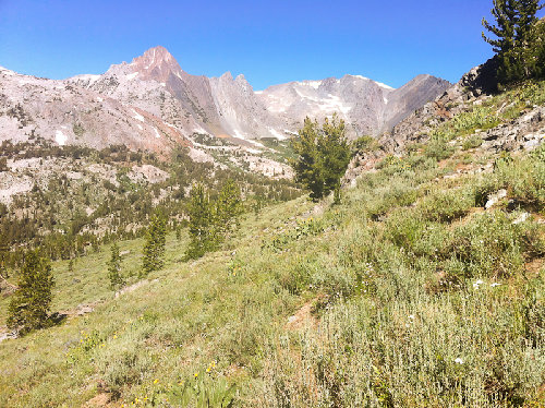Virginia Peak from slope above Return Creek