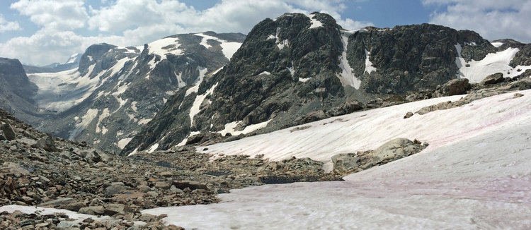 On pass between Clear Creek and Grasshopper Creek