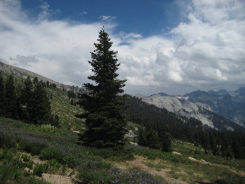 from the end of the trail at Alta Meadow