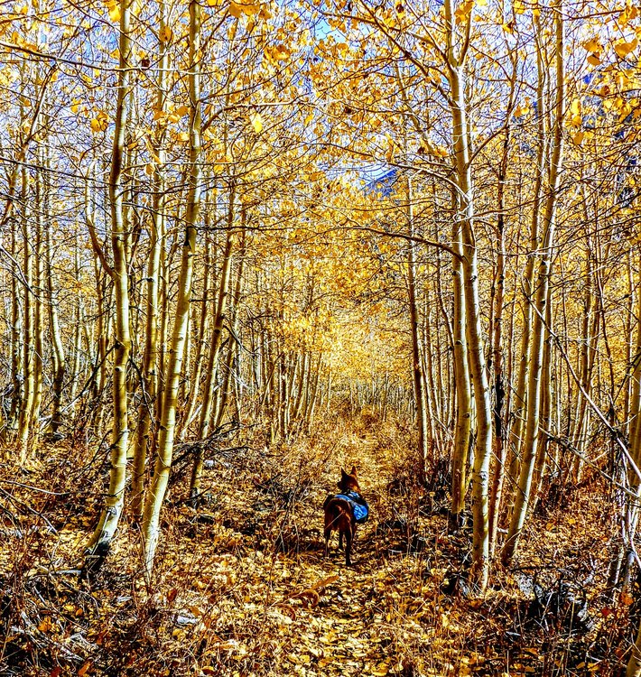 Leavitt to Buckeye 033.jpg