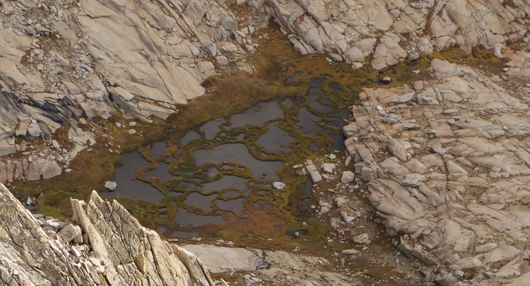 DSC09030-segmented-lake-crop.jpeg
