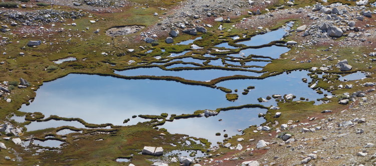 DSC14991-segmented-lake-crop.jpeg