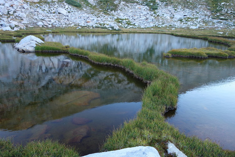 DSC14947-grass-dam.jpg