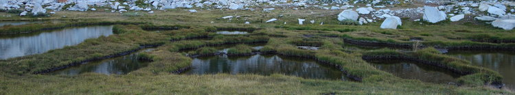 DSC14950-grass-dams-crop.jpg