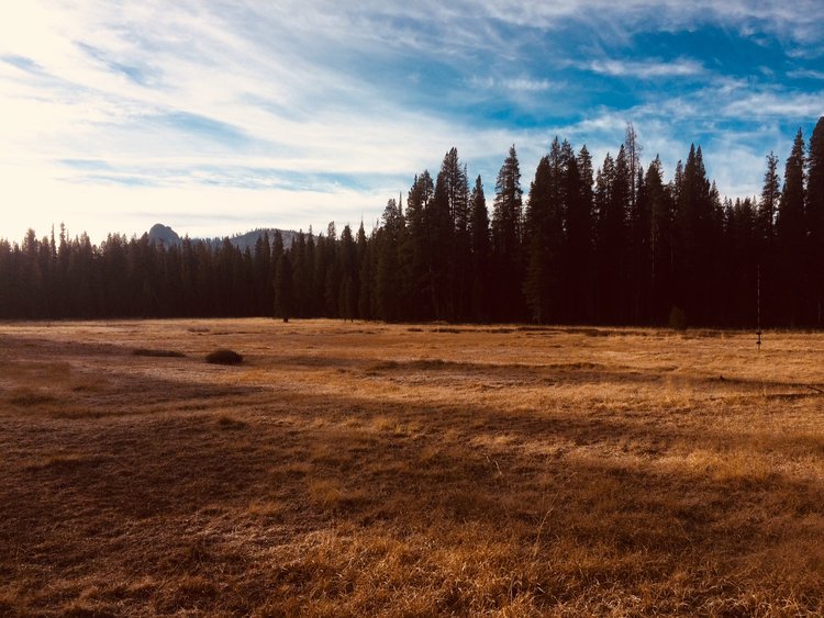 Rowell Meadow