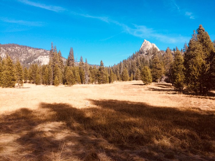 Sugarloaf Meadow