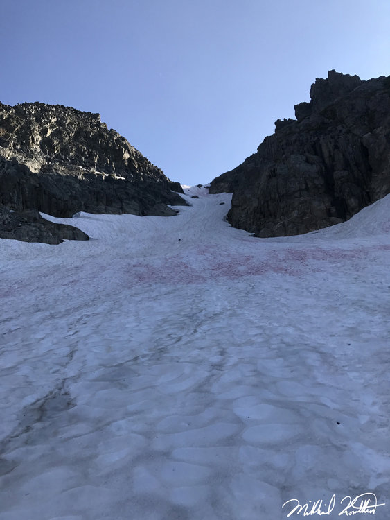 Janine is glissading down in the center of the photo.  We carried an ice ax on every section this summer but this spot I 100% knew we would be using it.