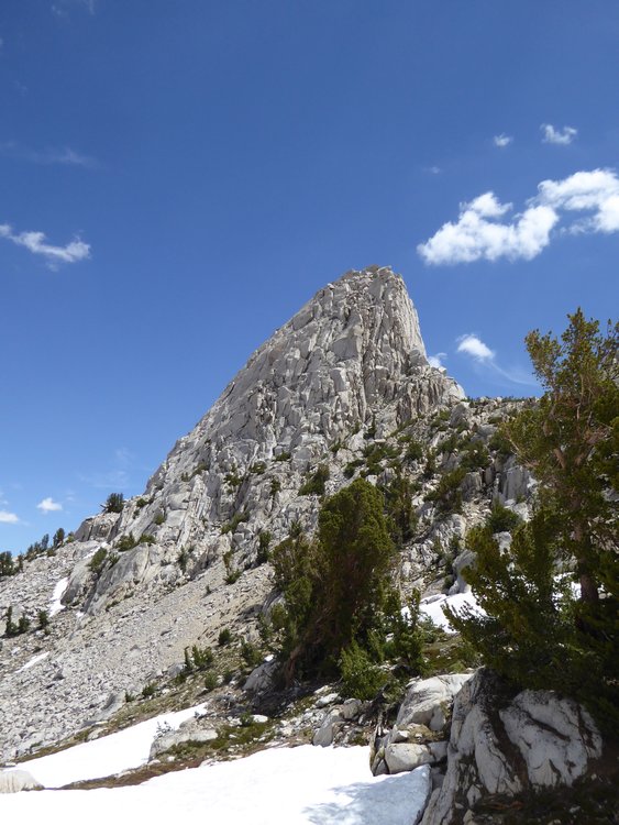 Fin dome