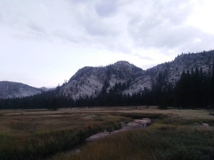 Jackson Meadow in the evening.