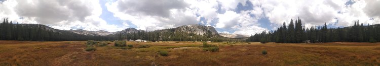 Meadow Southeast of Grassy Lake