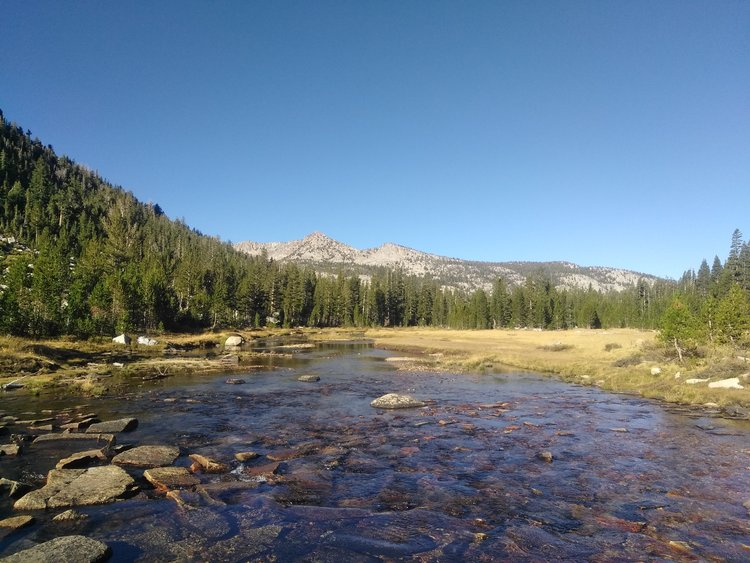 My view from the creek while getting some water in the morning.