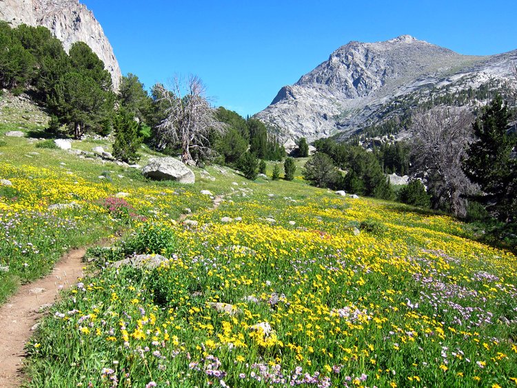 Jackass Trail on way to Cirque of the Towers