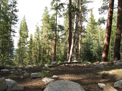 Campsite