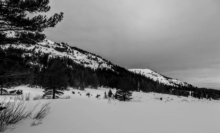 100_0812.jpg