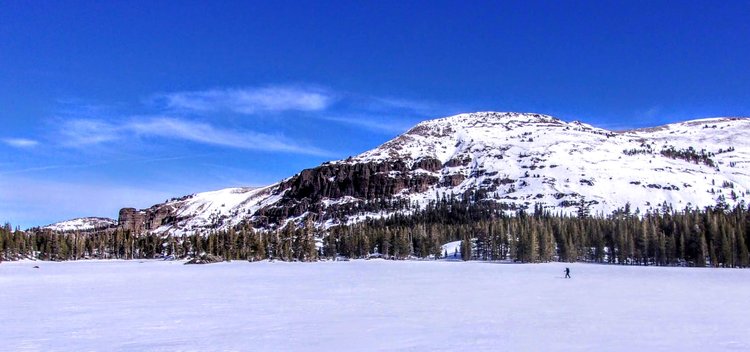 100_0913.jpg
