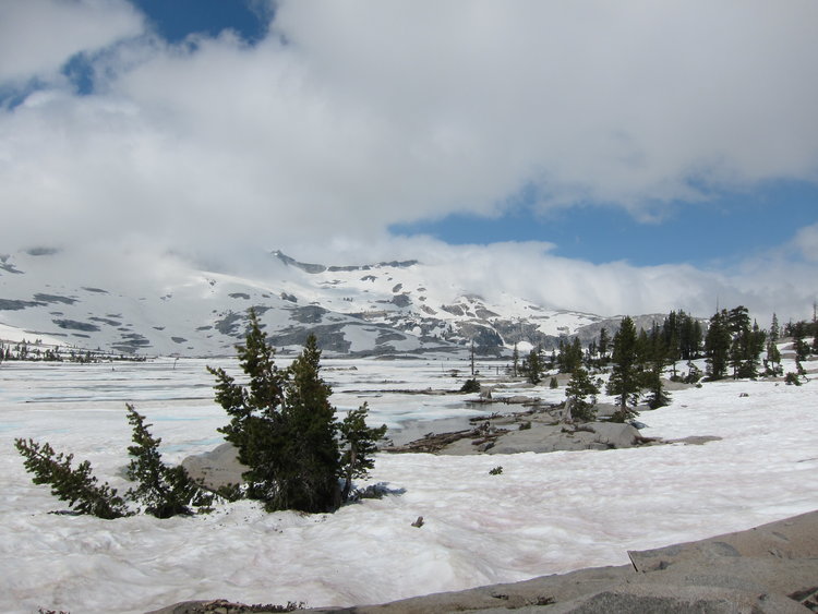 Desolation near Aloah Lake 7/15/11