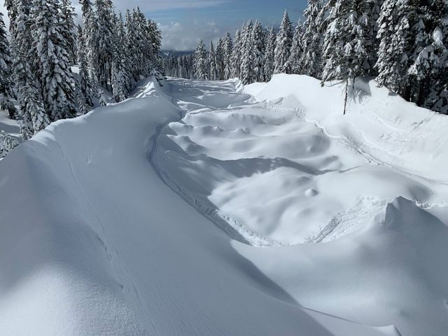 Avalanche on Mt Shasta, taken by Chris Carr