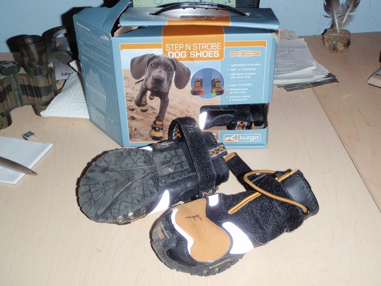 kurgo booties