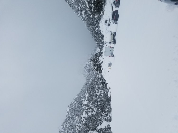 20190306_091537.jpeg