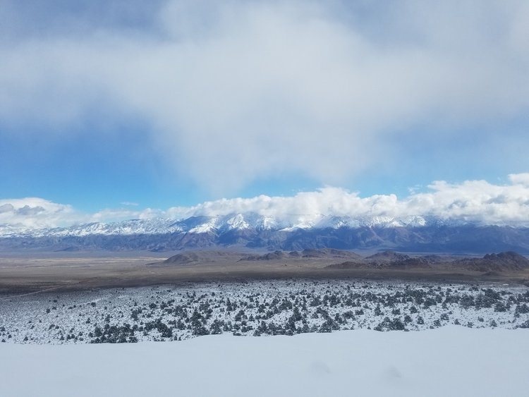 20190306_095021.jpeg