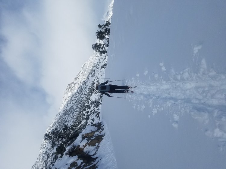 20190306_095829.jpeg