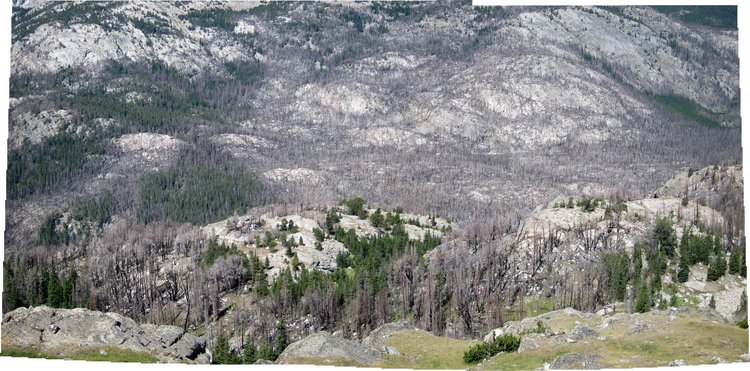 Alpine Lake burn on the SFBLC