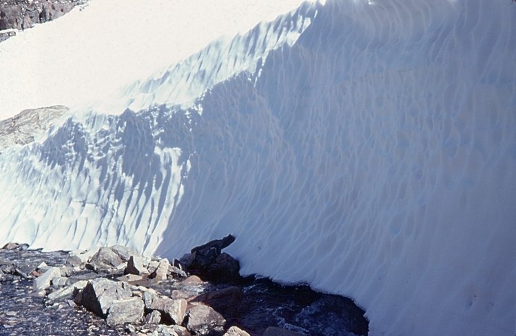 Below Helen Lake, July 1978