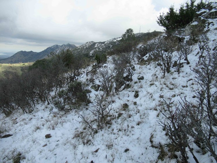 North flank of Mt Diablo viewed from about 2800 on Moses Rock ridge looking toward the north peak.