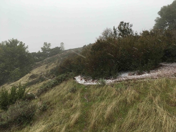 A few day after walking over crunchy snow Feb.11 on Feb 15 I was hit by a series of strong hailstorms.