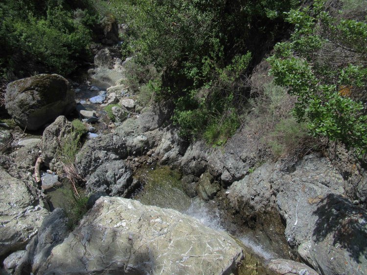 Apr. 13 W Tree Rock Scramble, Sunol Regional Wilderness.  A fun scramble indeed with the only drawbacks being the poison oak (more luxuriant than usual this year), along with rattlesnakes (average) and ticks (surprisingly few).
