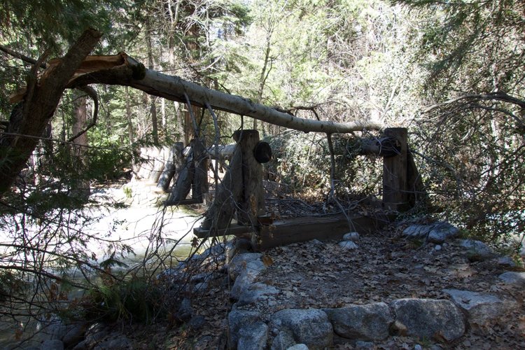 Fallen tree on one of three bridges over Sphinx Creek