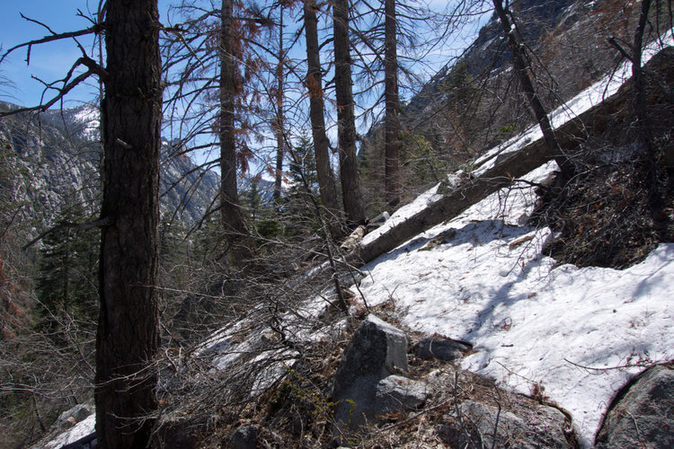 Going up the Avalanche Pass Trail switchbacks