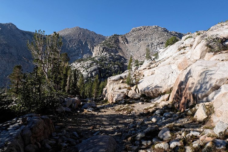 Lamarck switchbacks from our campsite.