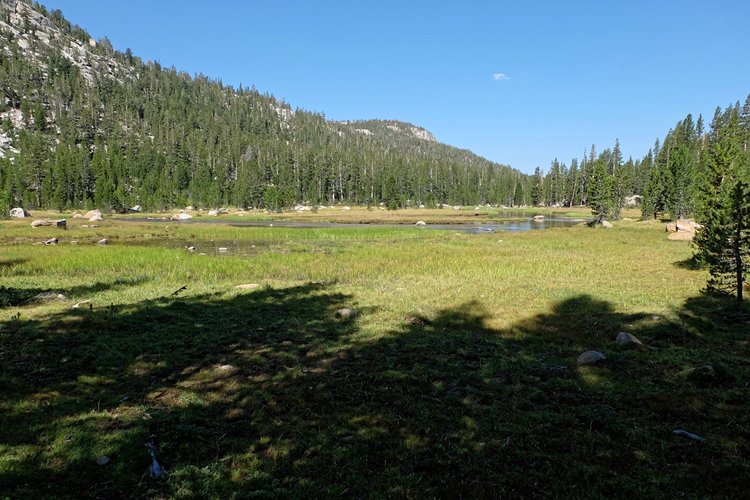 Colby Meadow.