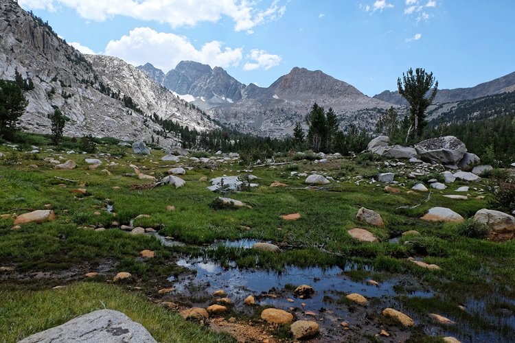 McGee Canyon, looking down canyon.