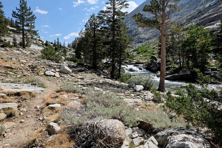 Upstream from the intersection with West Pinnacles Creek.