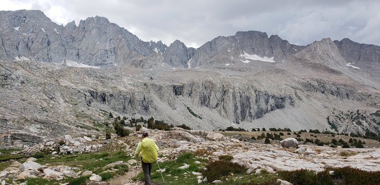 Descending Forester.jpg