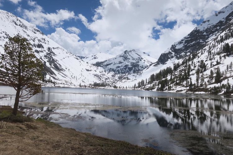 From Nils Wydler, Kennedy Lake