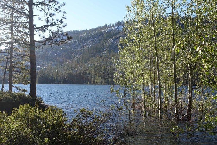 Difficult to get clear views of Lake Vernon