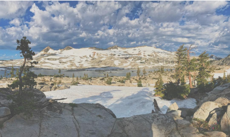 Screen Shot 2019-06-21 at 6.21.49 PM.png