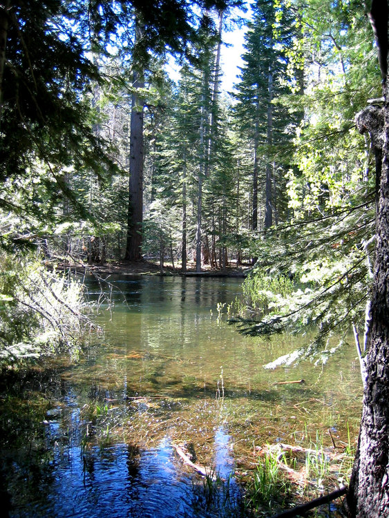 Piute Creek at Pleasant Valley