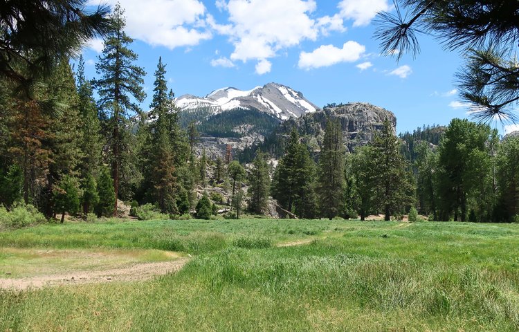 Kennedy Meadows
