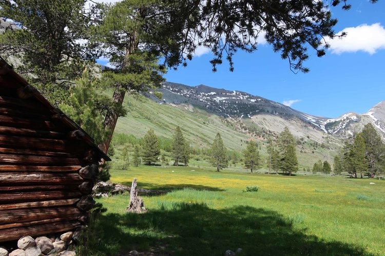 Cabin at the confluence of Soda Creek