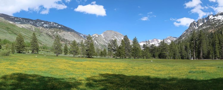 Leaving the meadows below Kennedy Lake